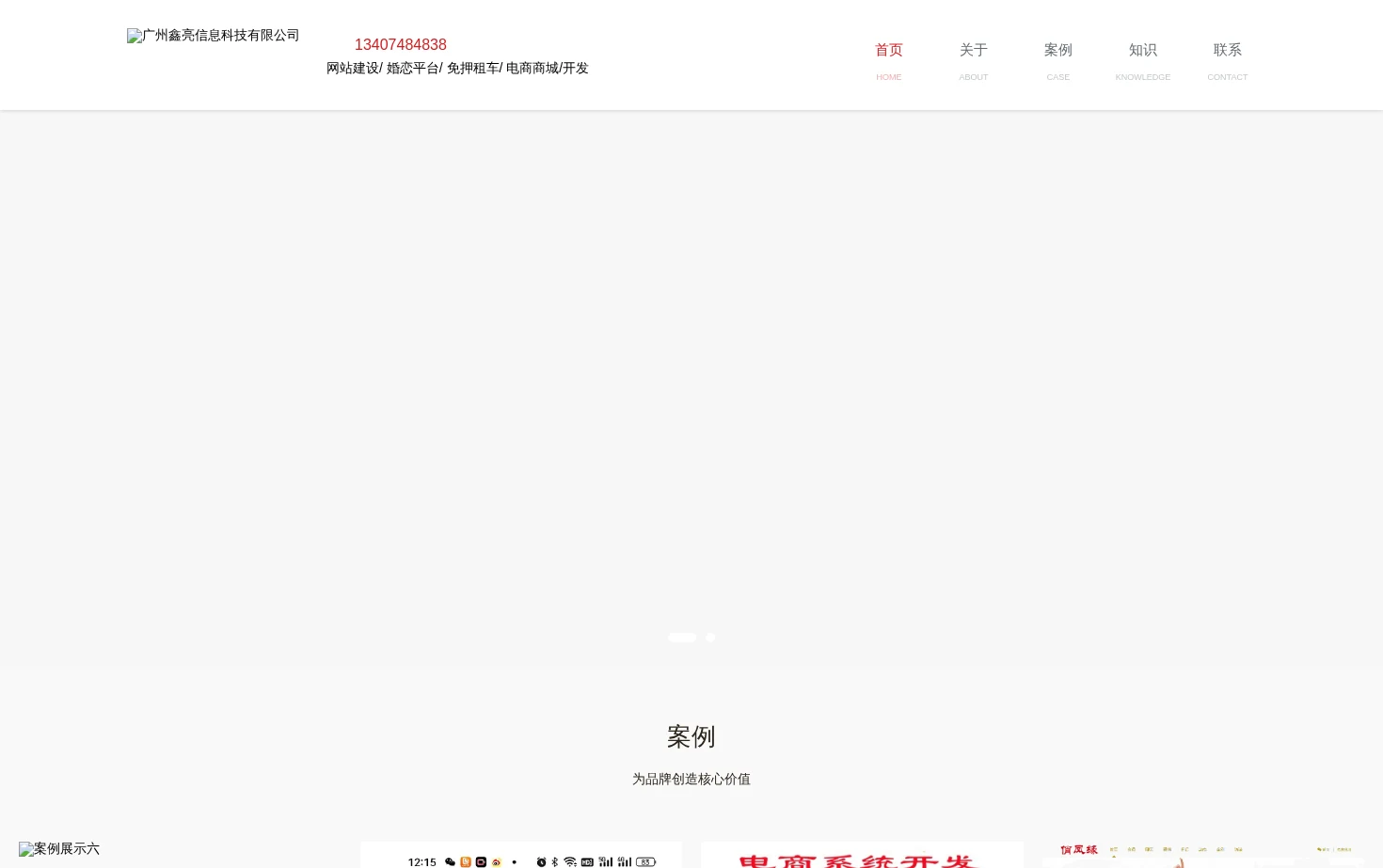 鑫亮软件开发 页面快照
